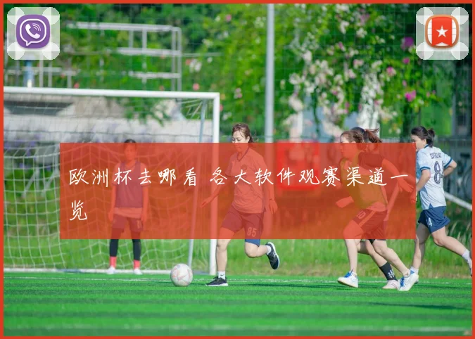 欧洲杯去哪看 各大软件观赛渠道一览